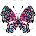 Merced C. profile picture